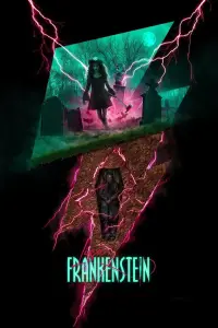 Poster to the movie "Lisa Frankenstein" #660716