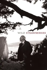 Poster to the movie "Wild Strawberries" #177615