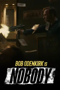 Poster to the movie "Nobody" #35866