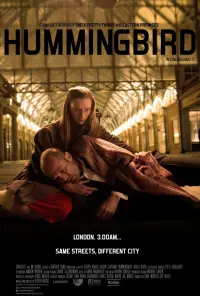 Poster to the movie "Hummingbird" #53897