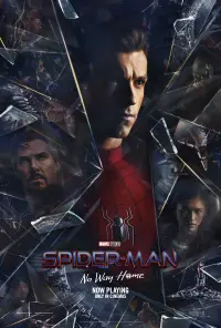 Poster to the movie "Spider-Man: No Way Home" #644159