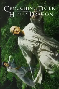 Poster to the movie "Crouching Tiger, Hidden Dragon" #79568