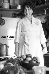 Poster to the movie "Julie & Julia" #540008