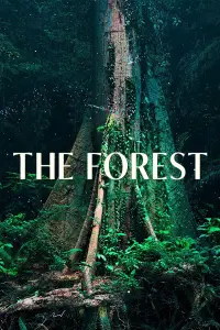 Poster to the movie "The Forest" #649478