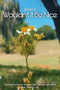 Poster to the movie "Wouldn’t It Be Nice" #454135