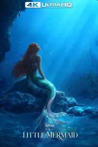 Poster to the movie "The Little Mermaid" #5614