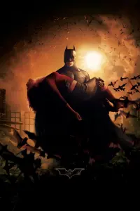 Poster to the movie "Batman Begins" #201312