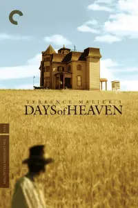 Poster to the movie "Days of Heaven" #140732