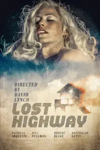 Poster to the movie "Lost Highway" #120872