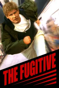 Poster to the movie "The Fugitive" #70079