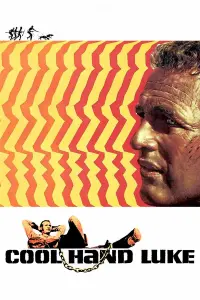 Poster to the movie "Cool Hand Luke" #102959