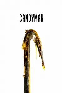 Poster to the movie "Candyman" #307492