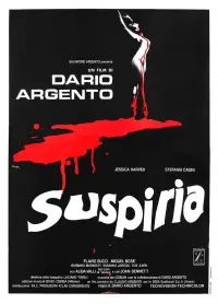 Poster to the movie "Suspiria" #564636