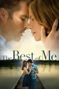 Poster to the movie "The Best of Me" #214280