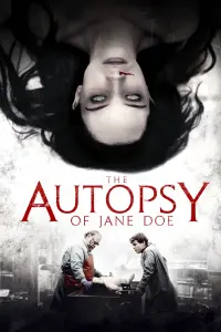 Poster to the movie "The Autopsy of Jane Doe" #69861