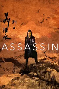 Poster to the movie "The Assassin" #150057