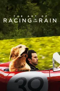 Poster to the movie "The Art of Racing in the Rain" #44045