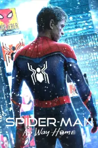 Poster to the movie "Spider-Man: No Way Home" #415856