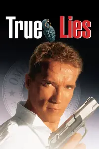 Poster to the movie "True Lies" #242838