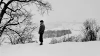 Backdrop to the movie "Andrey Tarkovsky. A Cinema Prayer" #196581