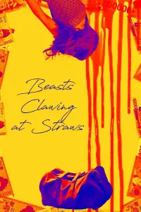 Poster to the movie "Beasts Clawing at Straws" #338672