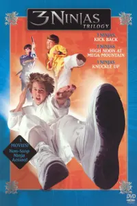 Poster to the movie "3 Ninjas" #326551