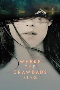 Poster to the movie "Where the Crawdads Sing" #53644