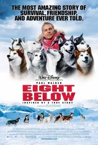 Poster to the movie "Eight Below" #80645