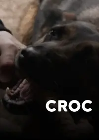 Poster to the movie "CROC" #543632