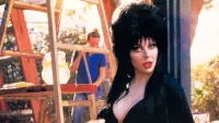 Backdrop to the movie "Elvira, Mistress of the Dark" #278258