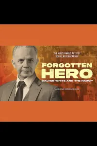 Poster to the movie "Forgotten Hero: Walter White and the NAACP" #695350