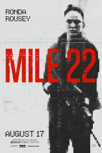 Poster to the movie "Mile 22" #63759