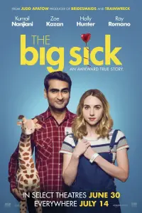 Poster to the movie "The Big Sick" #113989