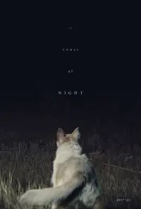 Poster to the movie "It Comes at Night" #135383