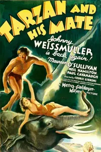 Poster to the movie "Tarzan and His Mate" #359447