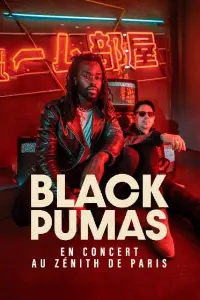 Poster to the movie "Black Pumas en concert au Zénith de Paris" #418579