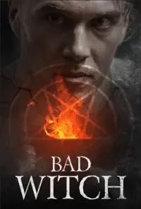 Poster to the movie "Bad Witch" #648886