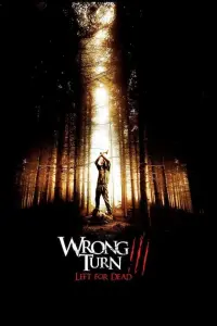 Poster to the movie "Wrong Turn 3: Left for Dead" #41881