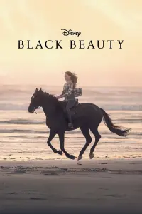 Poster to the movie "Black Beauty" #179867