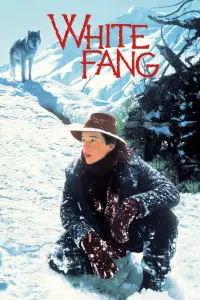 Poster to the movie "White Fang" #122542