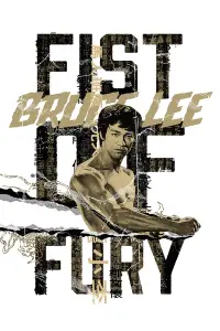 Poster to the movie "Fist of Fury" #228486