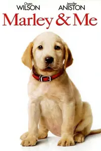 Poster to the movie "Marley & Me" #126259