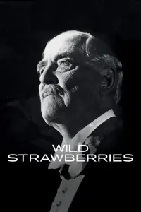 Poster to the movie "Wild Strawberries" #177612