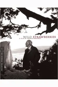 Poster to the movie "Wild Strawberries" #177618