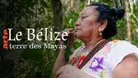 Backdrop to the movie "Belize: Wir sind Maya!" #677054