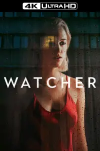 Poster to the movie "Watcher" #57992