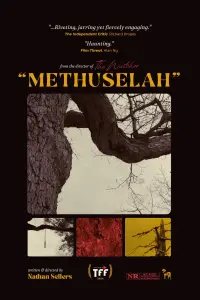 Poster to the movie "Methuselah" #548891