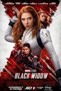 Poster to the movie "Black Widow" #23522