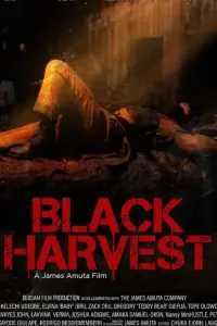 Poster to the movie "Black Harvest" #680951