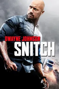 Poster to the movie "Snitch" #121129